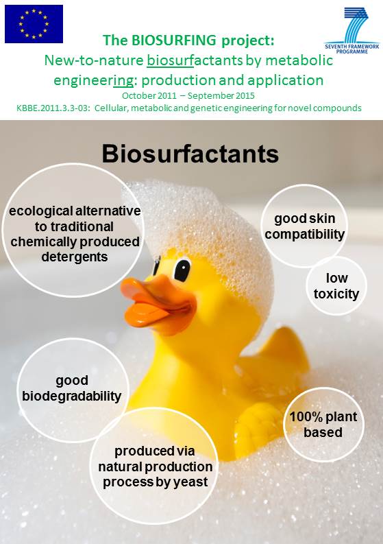 biosurfing_brochure_12